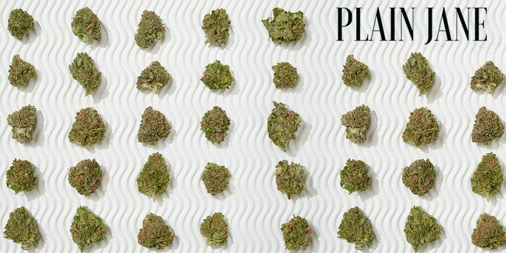 The Five Advantages of Being a 'Plain Jane