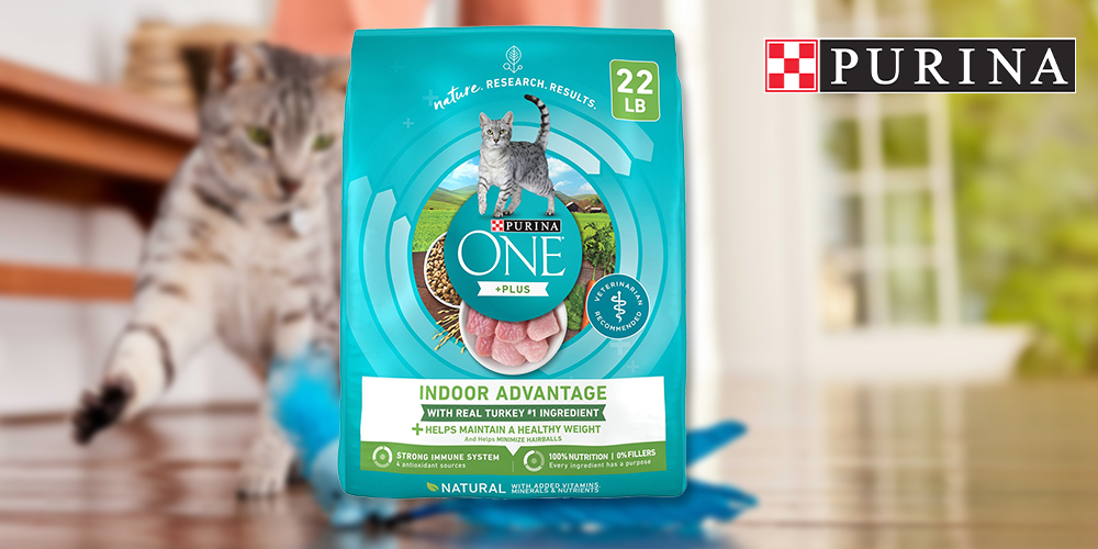 Best Cat Food for Indoor Cats: Top 5 Indoor Cat Foods To Keep Your Kitty  Happy and Healthy