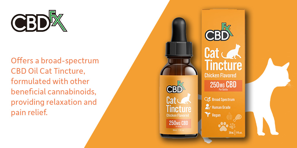 Best cat cbd store treats